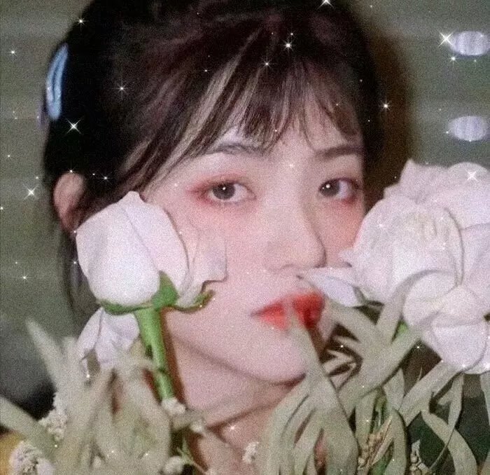 我们那微不足道的落幕